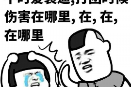 关岭要账公司更多成功案例详情